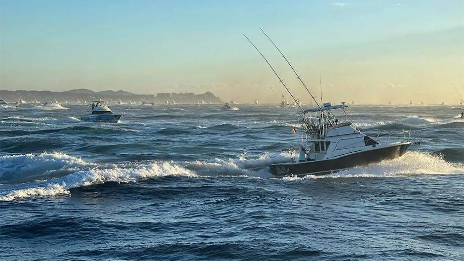 Toenro de pesca bisbee los cabos 3